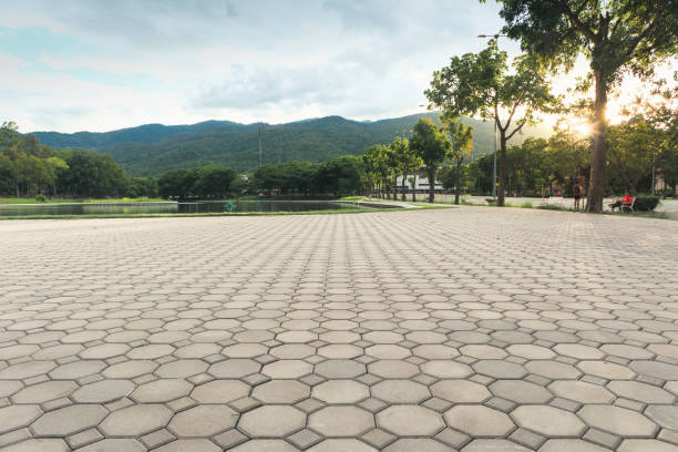 Best Residential Driveway Paver Services  in Shoreline, WA
